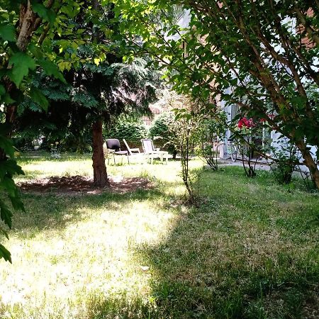 Central Lakeside Apartment Ohrid Buitenkant foto