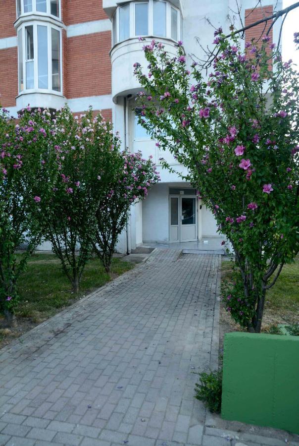 Central Lakeside Apartment Ohrid Buitenkant foto